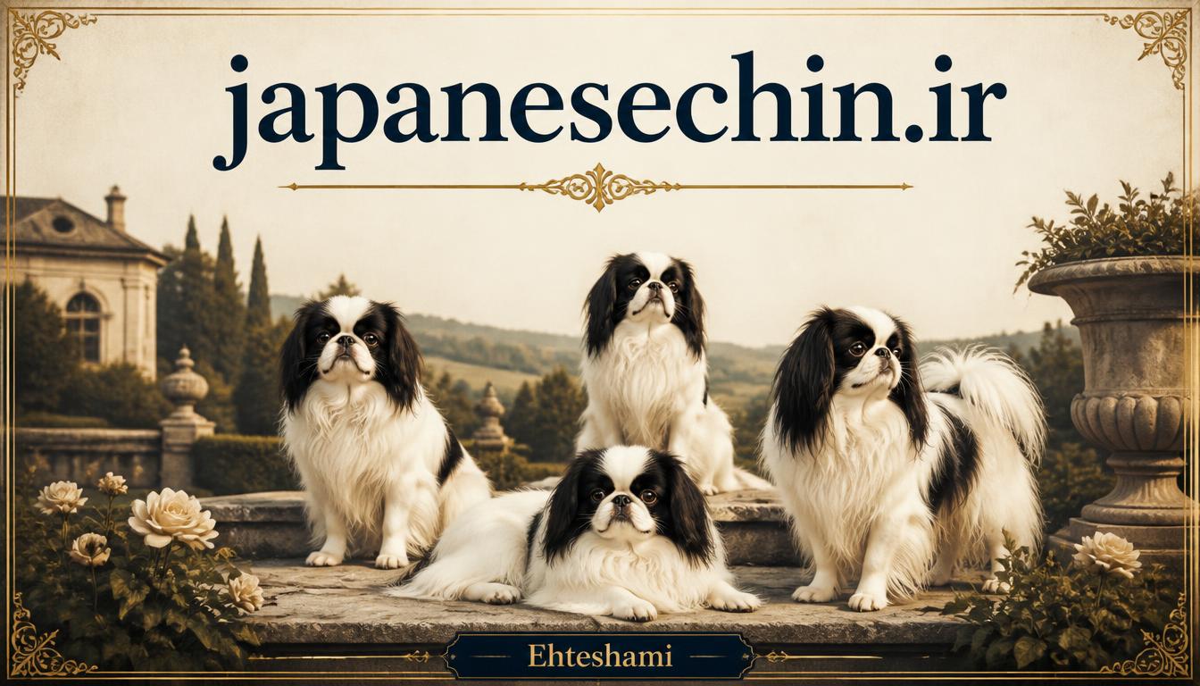 japanesechin.ir
